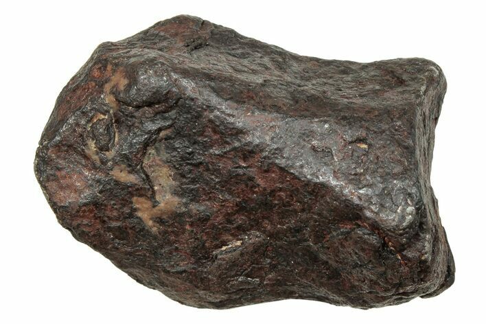 Canyon Diablo Iron Meteorite ( g) - Arizona #246912